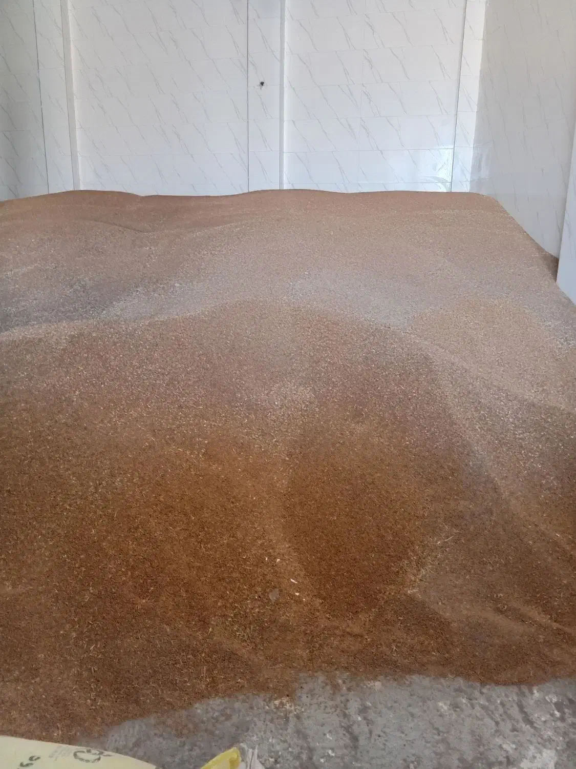 گندم ابی درجه ۱ پاک|لوازم جانبی حیوانات|داران, |دیوار