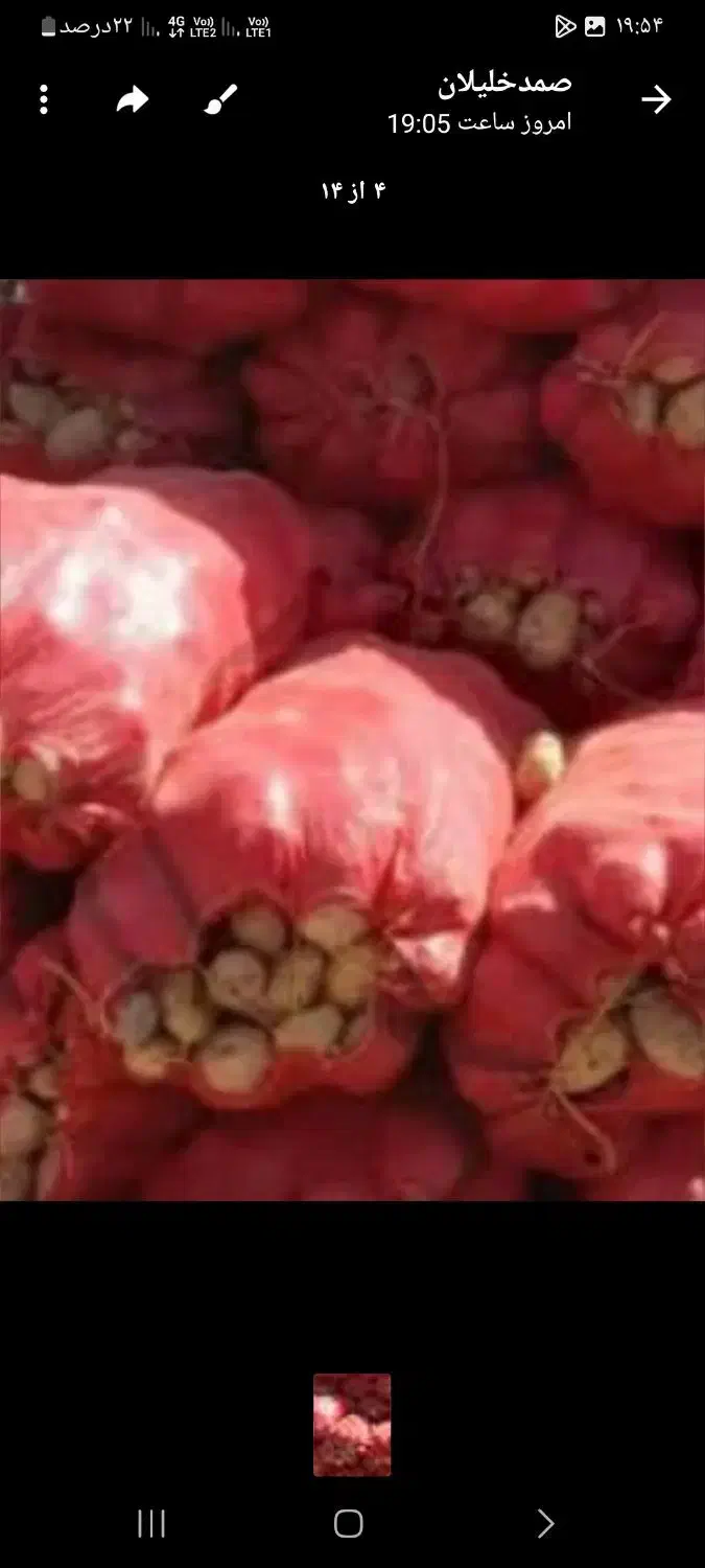 سیب زمینی جلی|خوردنی و آشامیدنی|زاغه, |دیوار