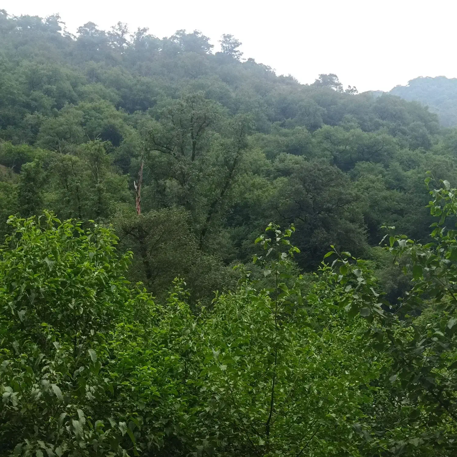 زمین مسکونی|فروش زمین و ملک کلنگی|فاضل آباد, |دیوار