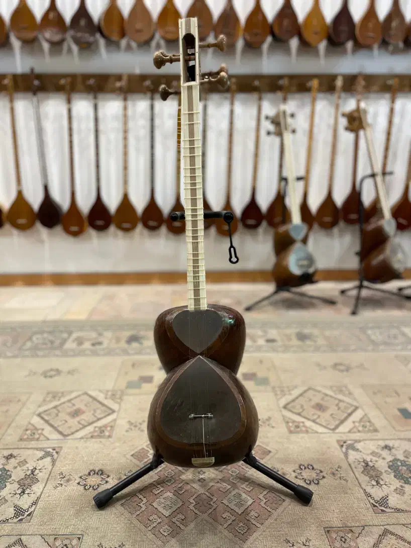 تار نو|سازهای سنتی|کرمان, |دیوار