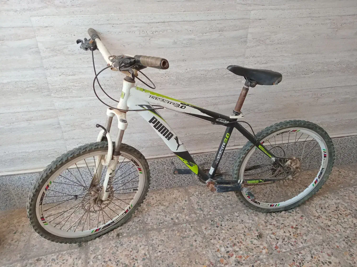 فروش دوچرخه|دوچرخه، اسکیت، اسکوتر|رامهرمز, |دیوار