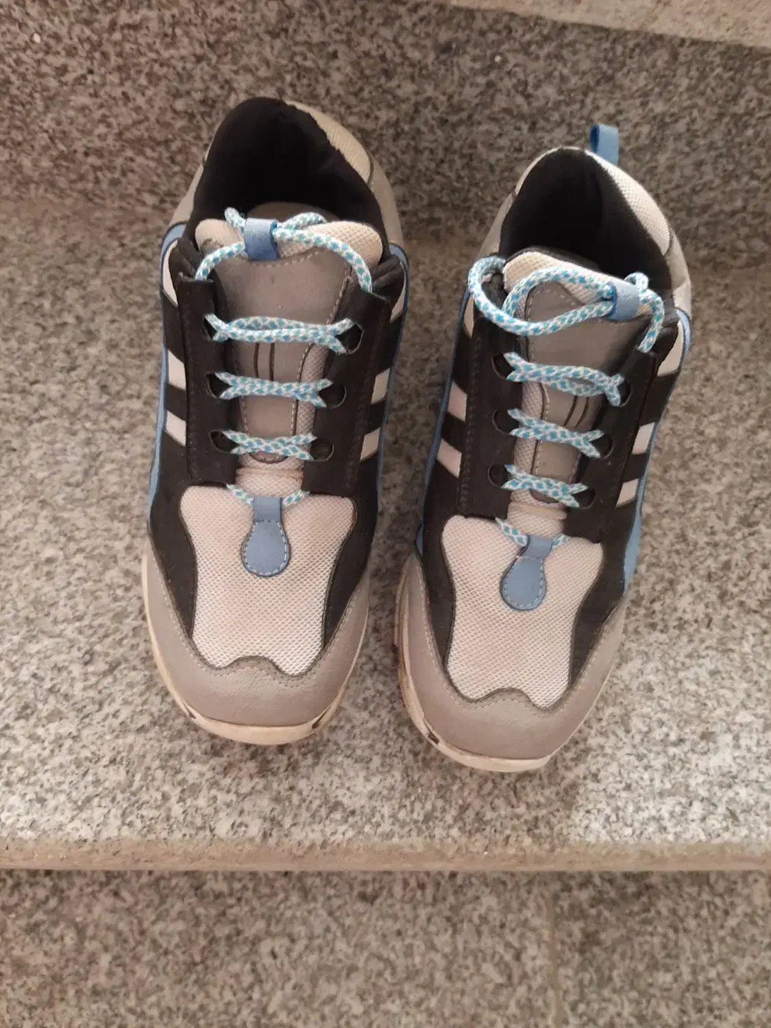 کفش|کیف، کفش، کمربند|بوشهر, |دیوار