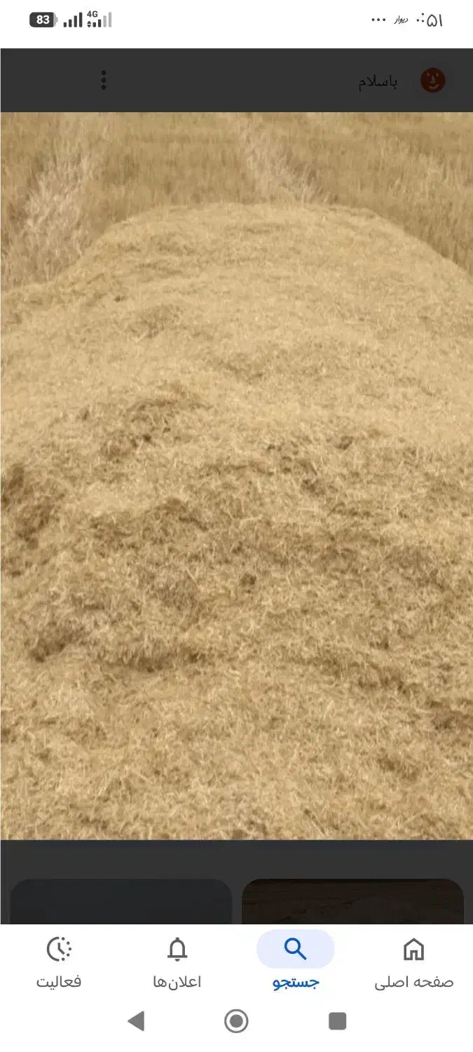 کاه|لوازم جانبی حیوانات|الیگودرز, |دیوار