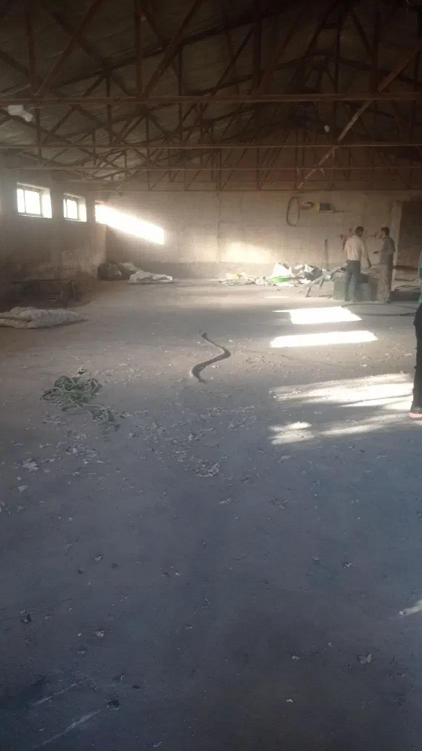 اجاره سالن|اجارهٔ دفتر صنعتی، کشاورزی، تجاری|بناب, |دیوار