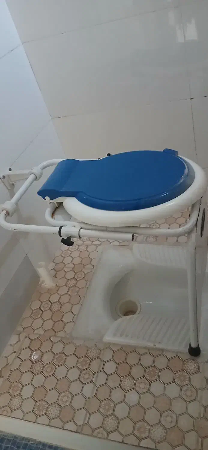 توالت فرنگی تمیز دیواری تاشو|لوازم سرویس بهداشتی|نیشابور, گنبد سبز|دیوار