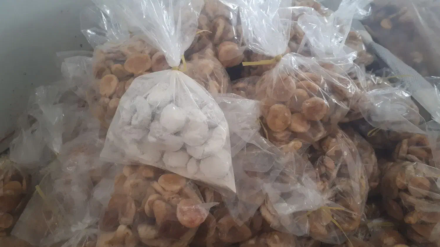 انجیرریجاب|خوردنی و آشامیدنی|دالاهو, |دیوار