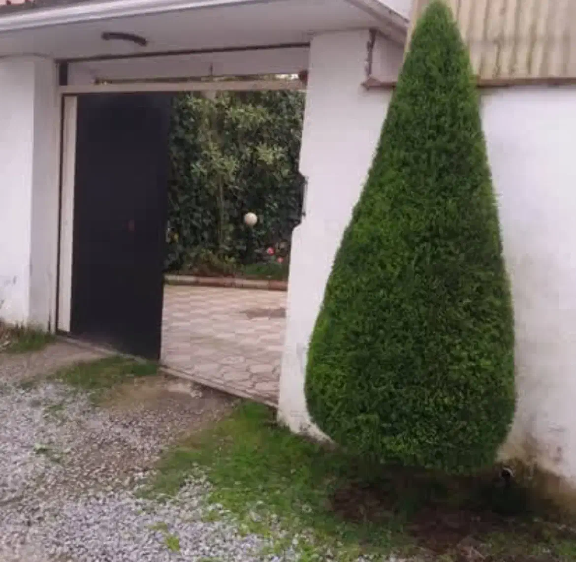 هرس و علف تراشی کلتیواتور|خدمات باغبانی و درختکاری|ساری, |دیوار