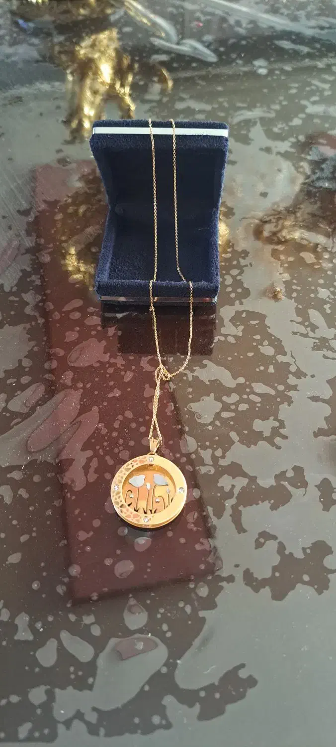 پلاک و گردنبند|جواهرات|ایوان, |دیوار