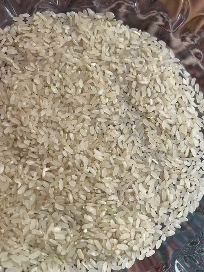 برنج کامفیروزی|خوردنی و آشامیدنی|بوشهر, |دیوار