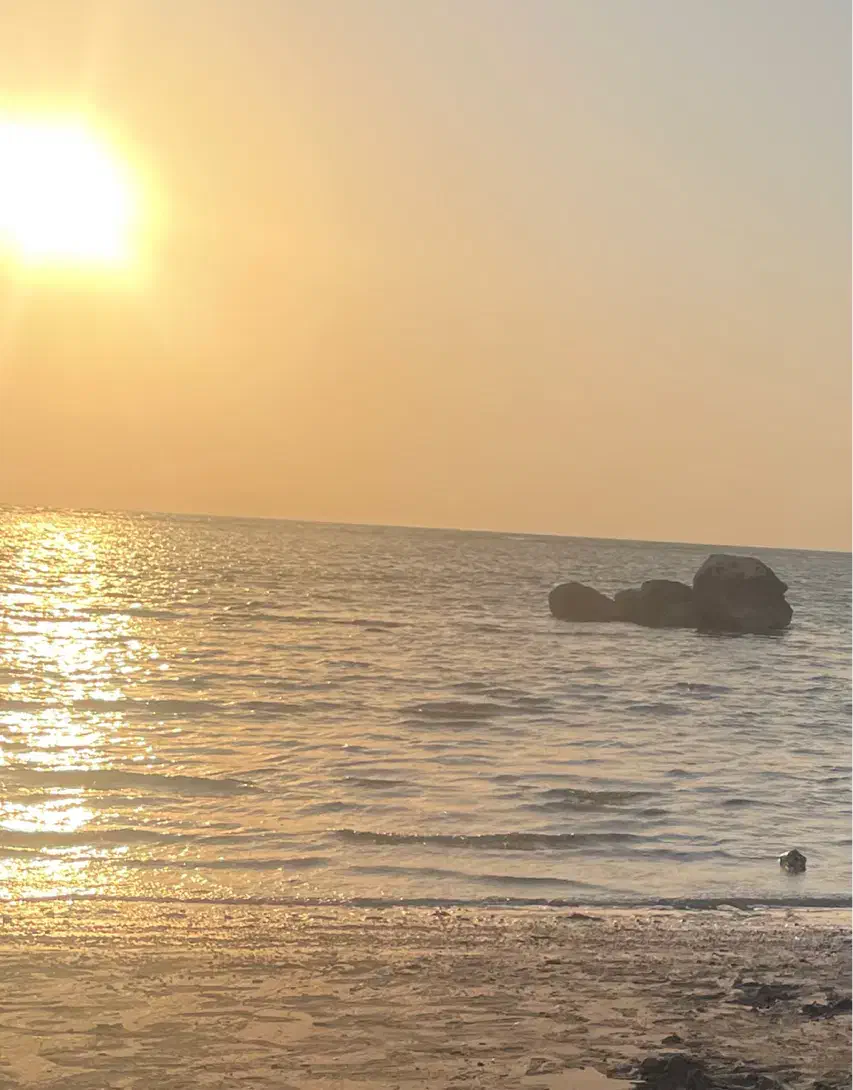 جاشو|استخدام حمل و نقل|بوشهر, |دیوار