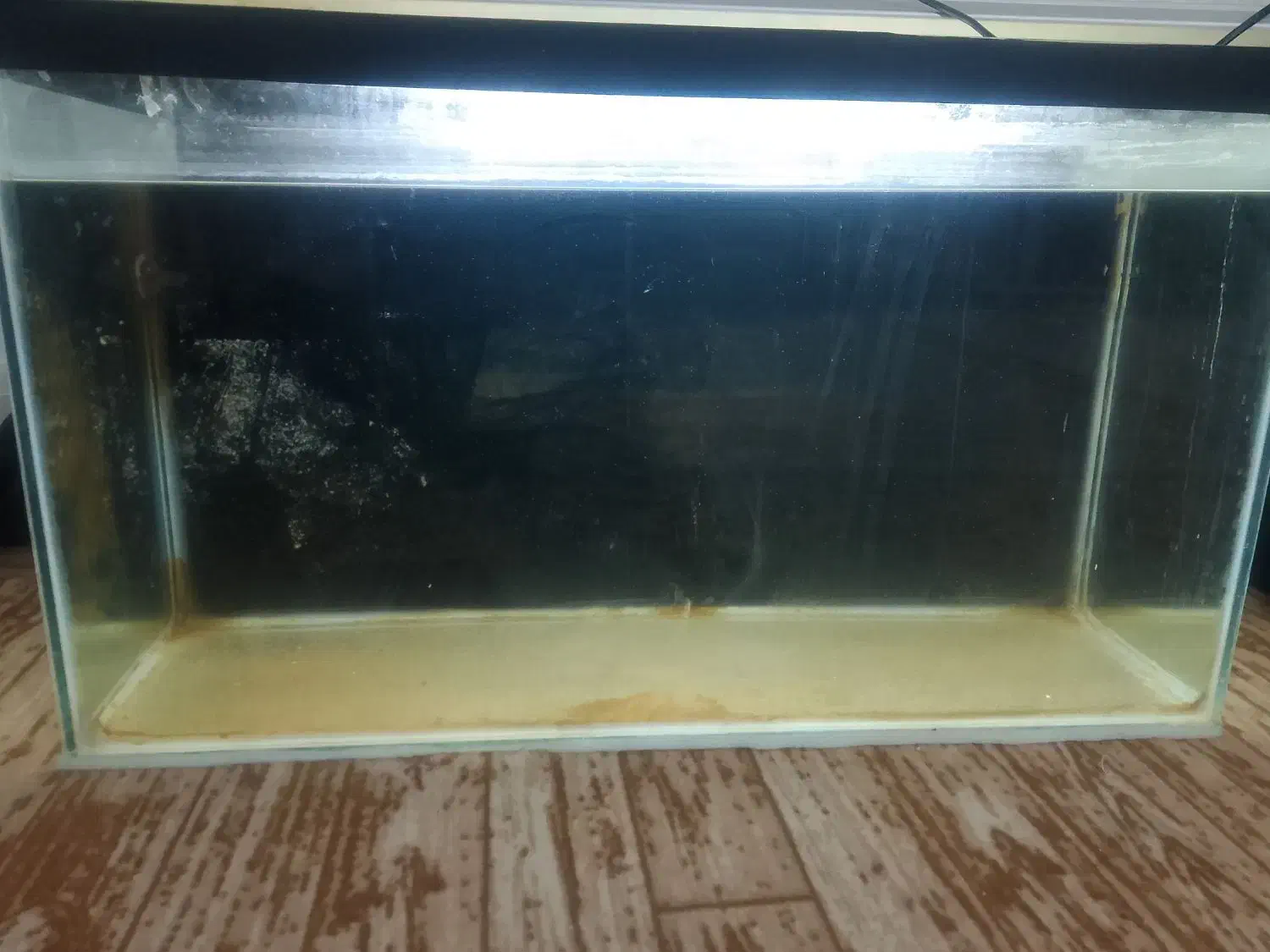 اکواریوم هشتاد سانت|ماهی|خوی, |دیوار