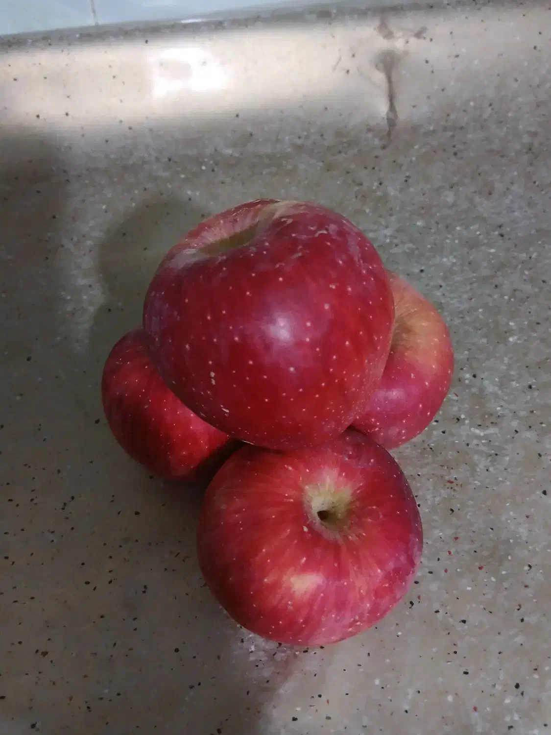 سیب قرمز و سفید|خوردنی و آشامیدنی|انگوران, |دیوار