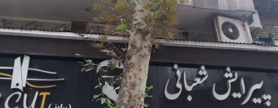 استخدام نیرو|استخدام درمانی، زیبایی، بهداشتی|تهران, باغ فردوس|دیوار