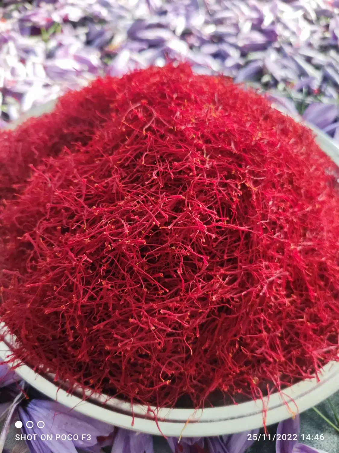 زعفران درجه یک محصول باغ خودمون زعفران  لرستان|خوردنی و آشامیدنی|لاهیجان, گلستان|دیوار