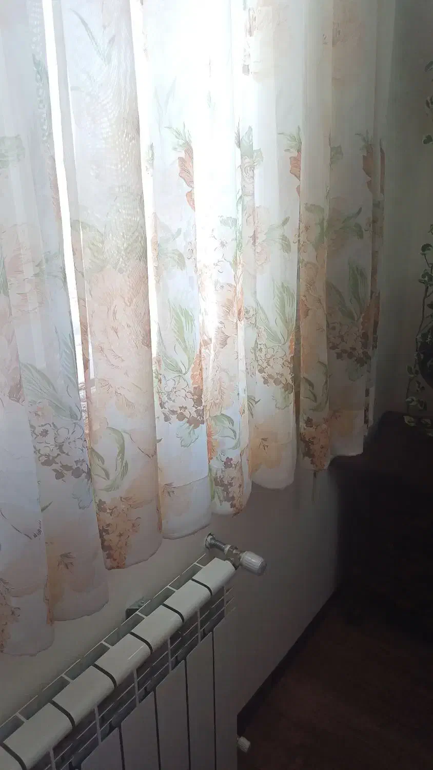 دو عدد پرده|پرده، رانر، رومیزی|کرمان, |دیوار