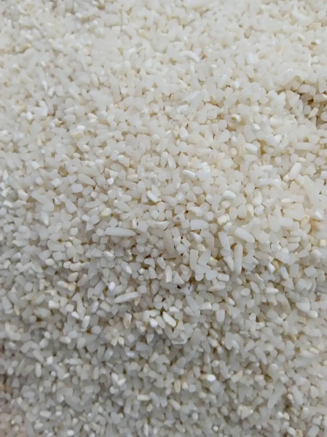 نیم دانه ریز دمسیاه|خوردنی و آشامیدنی|کوچصفهان, |دیوار