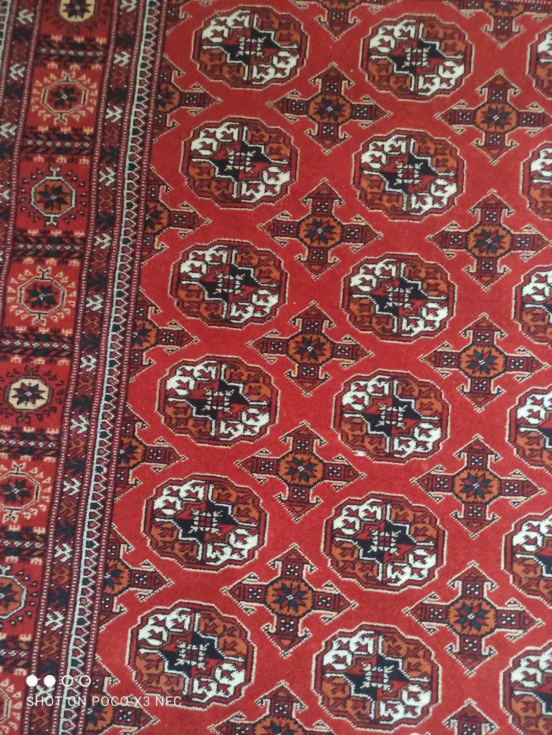 فرش دست بافت نو|فرش|کلاله, |دیوار