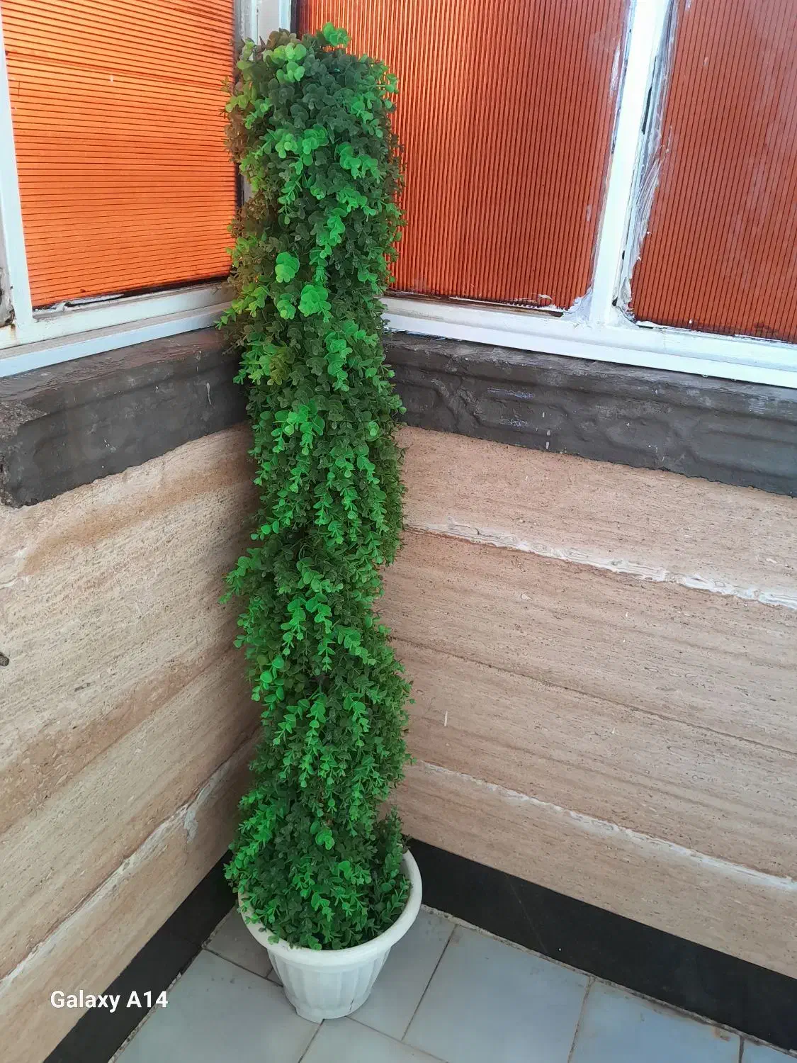 درختچه شمشاد|گل مصنوعی|اهواز, زندوکیلی|دیوار