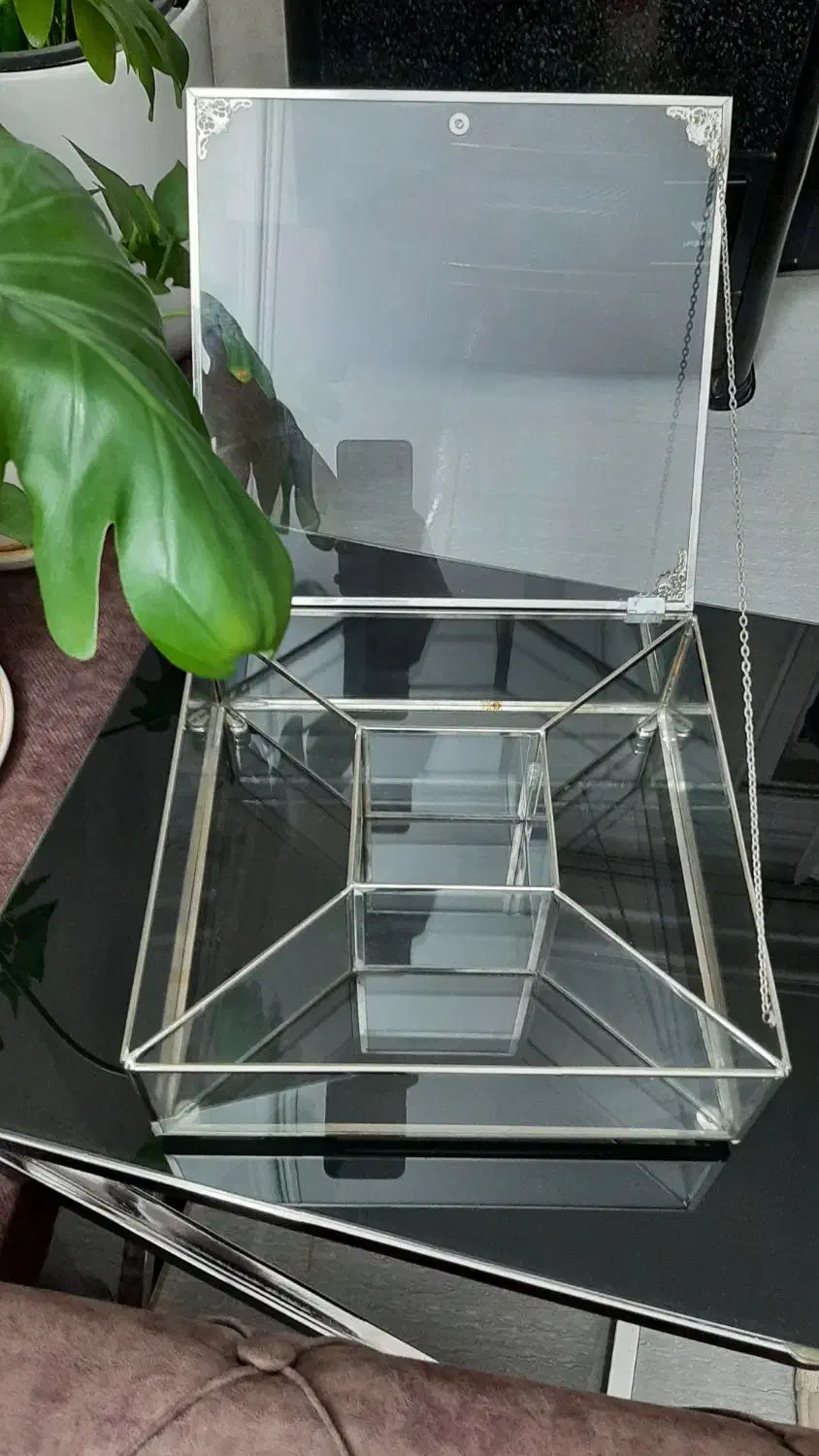 پنج خانه|کلکسیون و سرگرمی|کرمانشاه, |دیوار