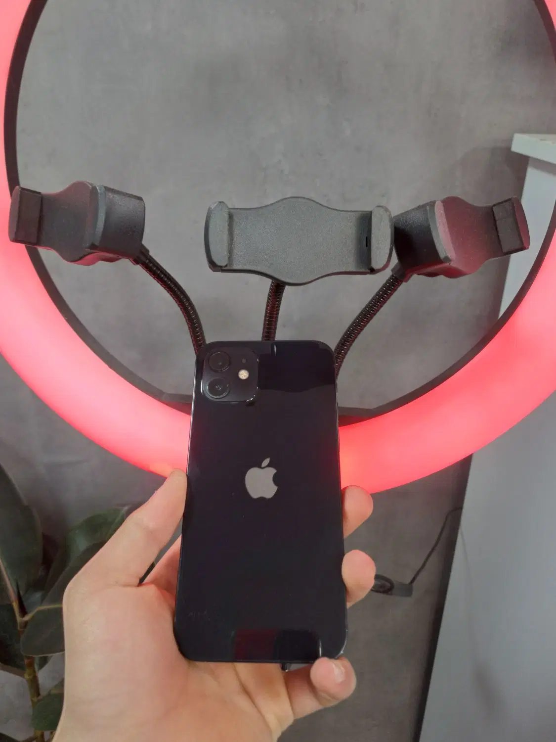 Iphone12|موبایل|قزوین, |دیوار