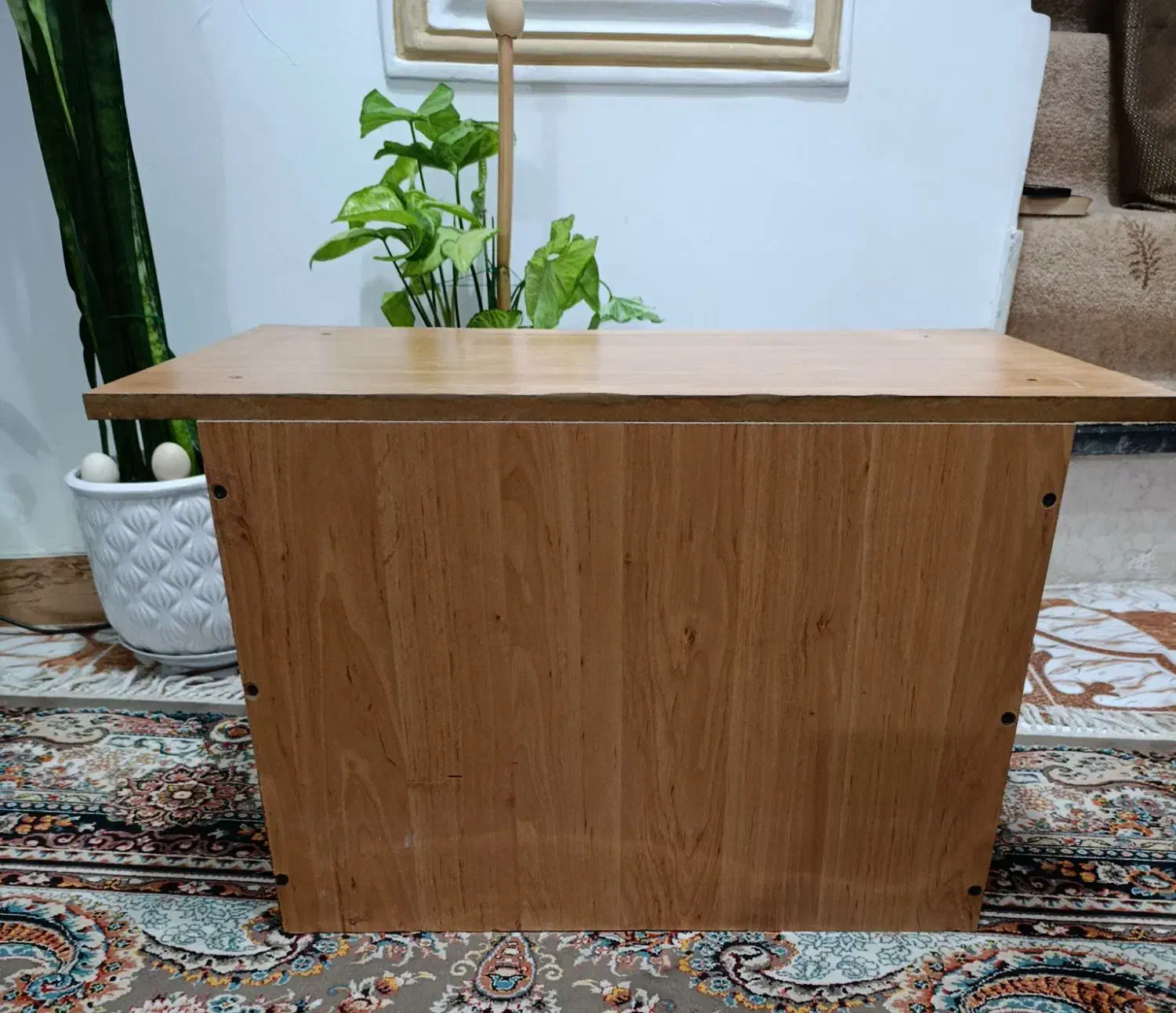 آکواریوم میز|ماهی|رشت, سلیمانداراب|دیوار