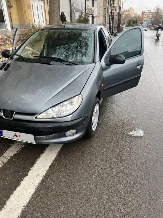 206 sd v20|خودرو سواری و وانت|همدان, |دیوار