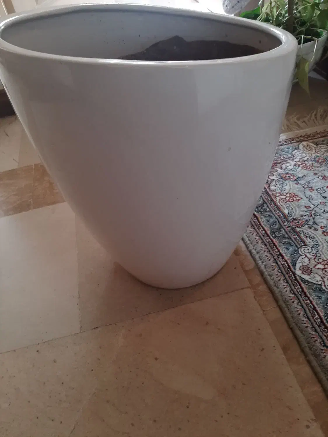 گلدان بزرگ|گل و گیاه طبیعی|تهران, امامت|دیوار