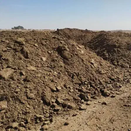 کود شتر|خدمات باغبانی و درختکاری|مبارکه, |دیوار