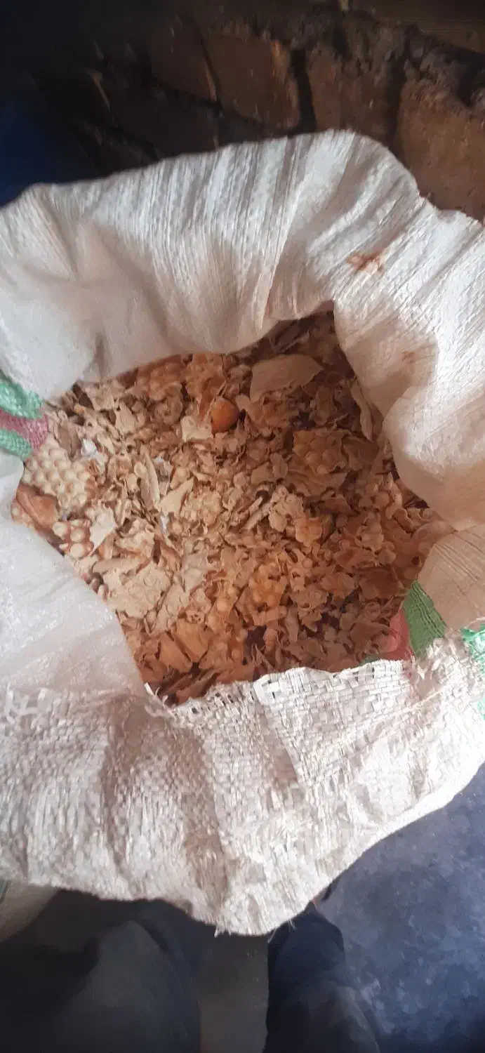 نون خشک|لوازم جانبی حیوانات|مسجد سلیمان, |دیوار