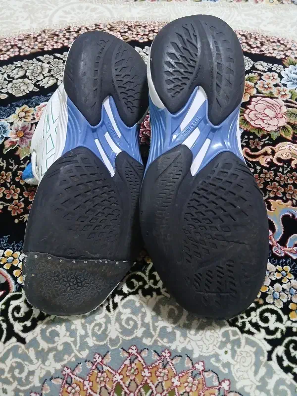 کتونی والیبال|کیف، کفش، کمربند|لشت نشا, |دیوار