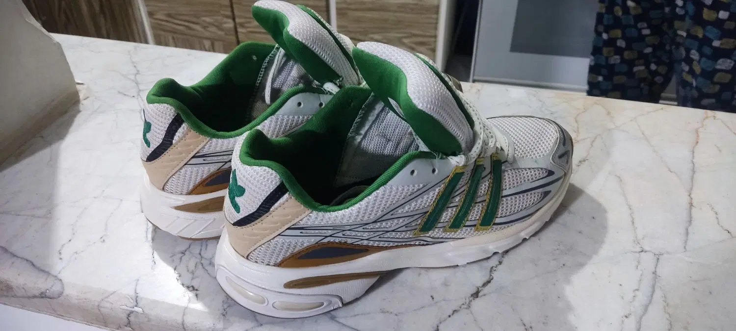 Adidas Adistar Cushion|کیف، کفش، کمربند|فردیس, فردیس|دیوار