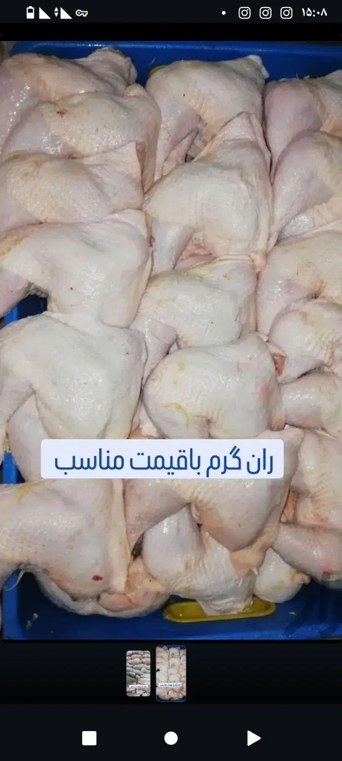 ثبت انواع سفارشات|خدمات پذیرایی، مراسم|کوهدشت, |دیوار