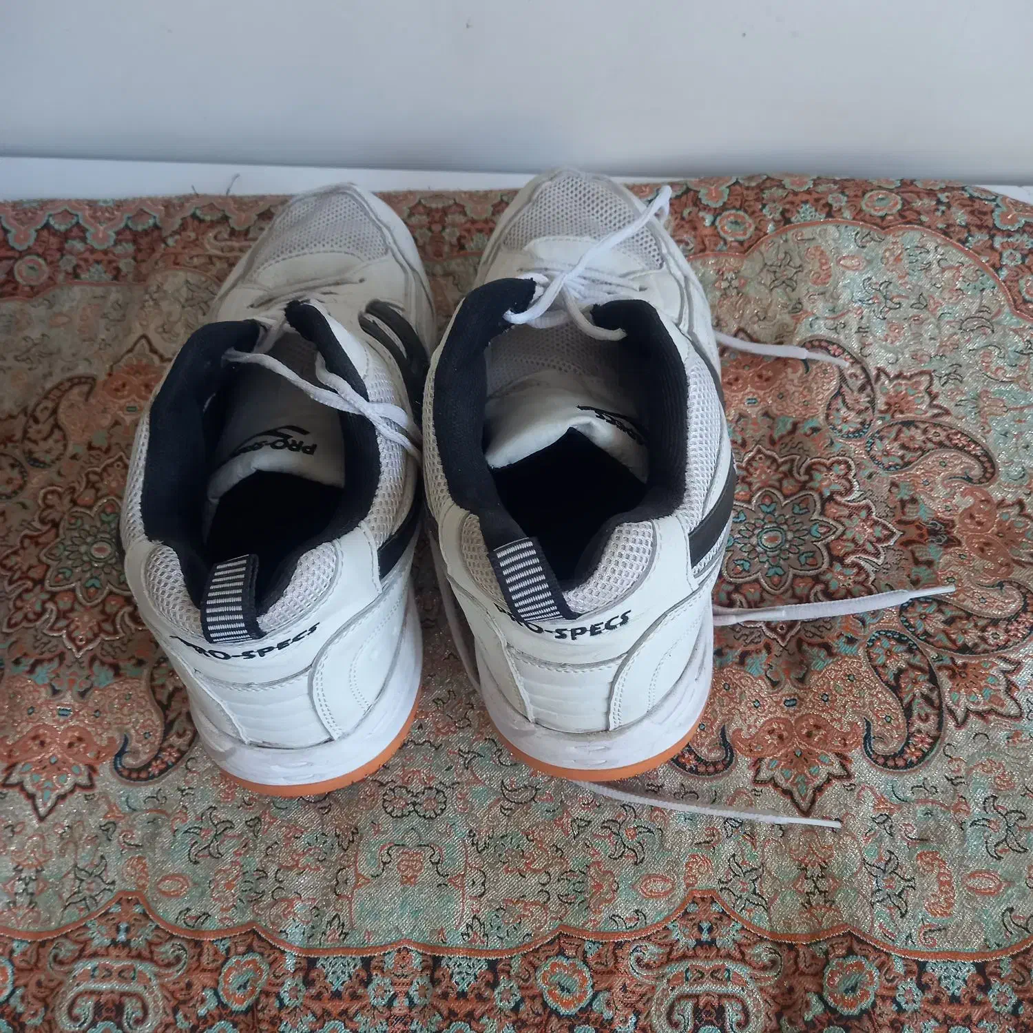 کفش والیبال اف ۴۴|ورزشهای توپی|قم, نیروگاه|دیوار