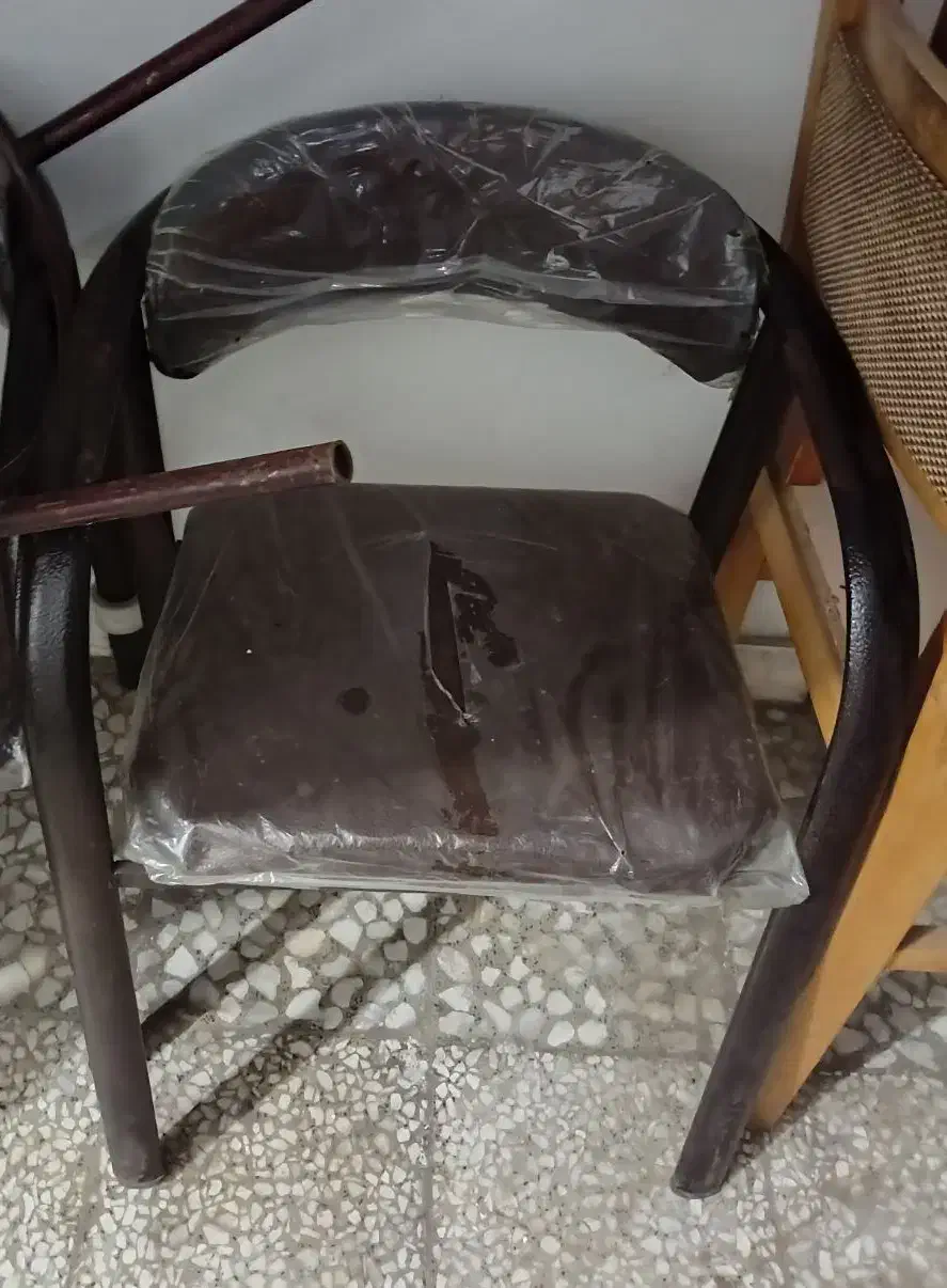 صندلی|صندلی و نیمکت|رشت, کاکتوس|دیوار