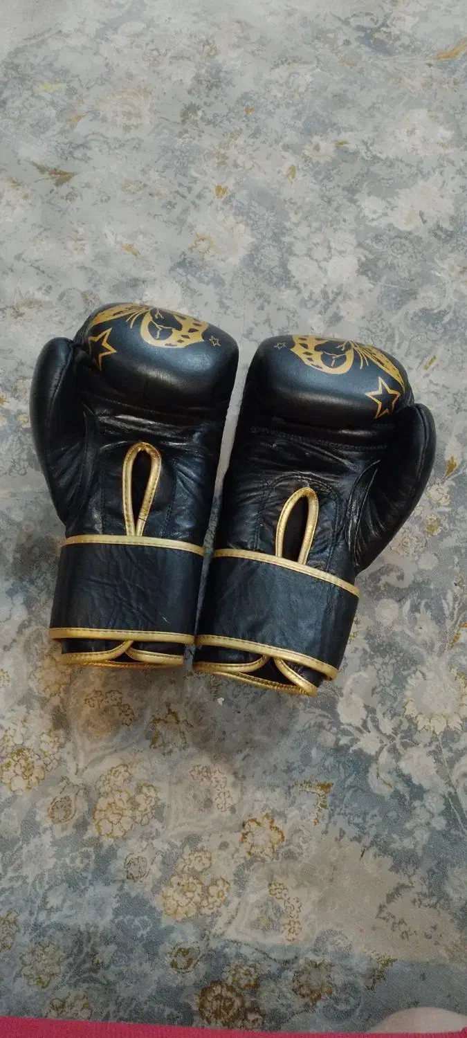 دستکش بوکس|تجهیزات ورزشی|رشت, پیرکلاچای|دیوار