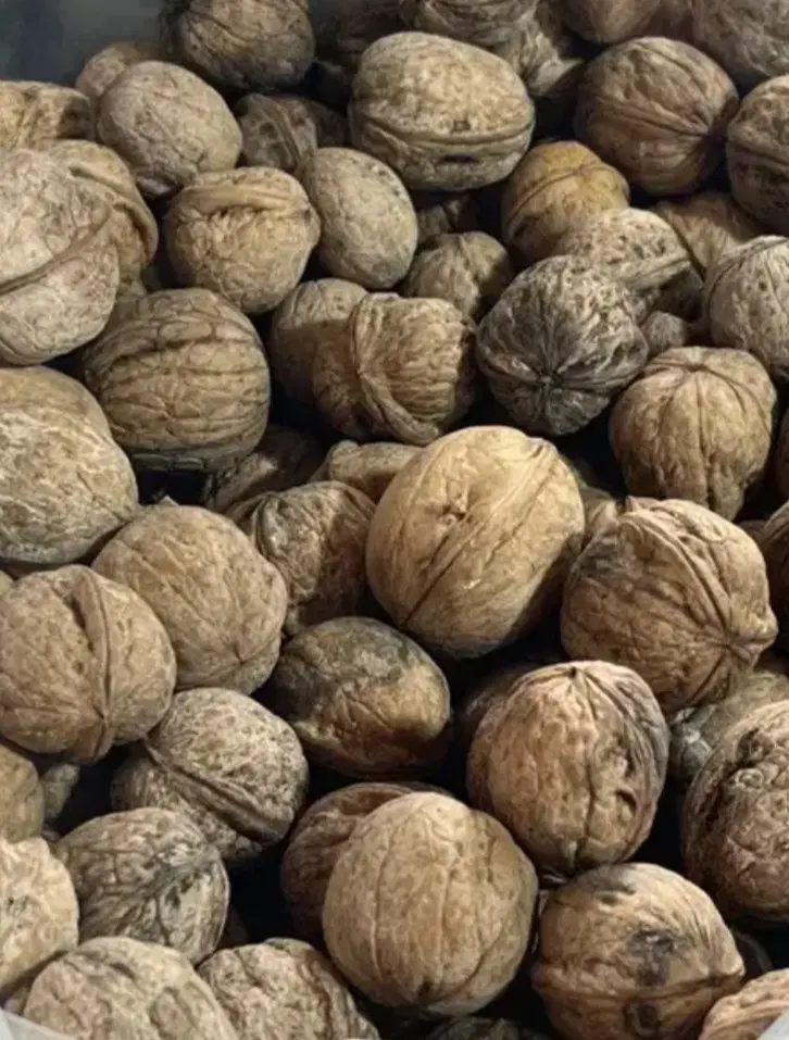 گردو|خوردنی و آشامیدنی|اراک, |دیوار
