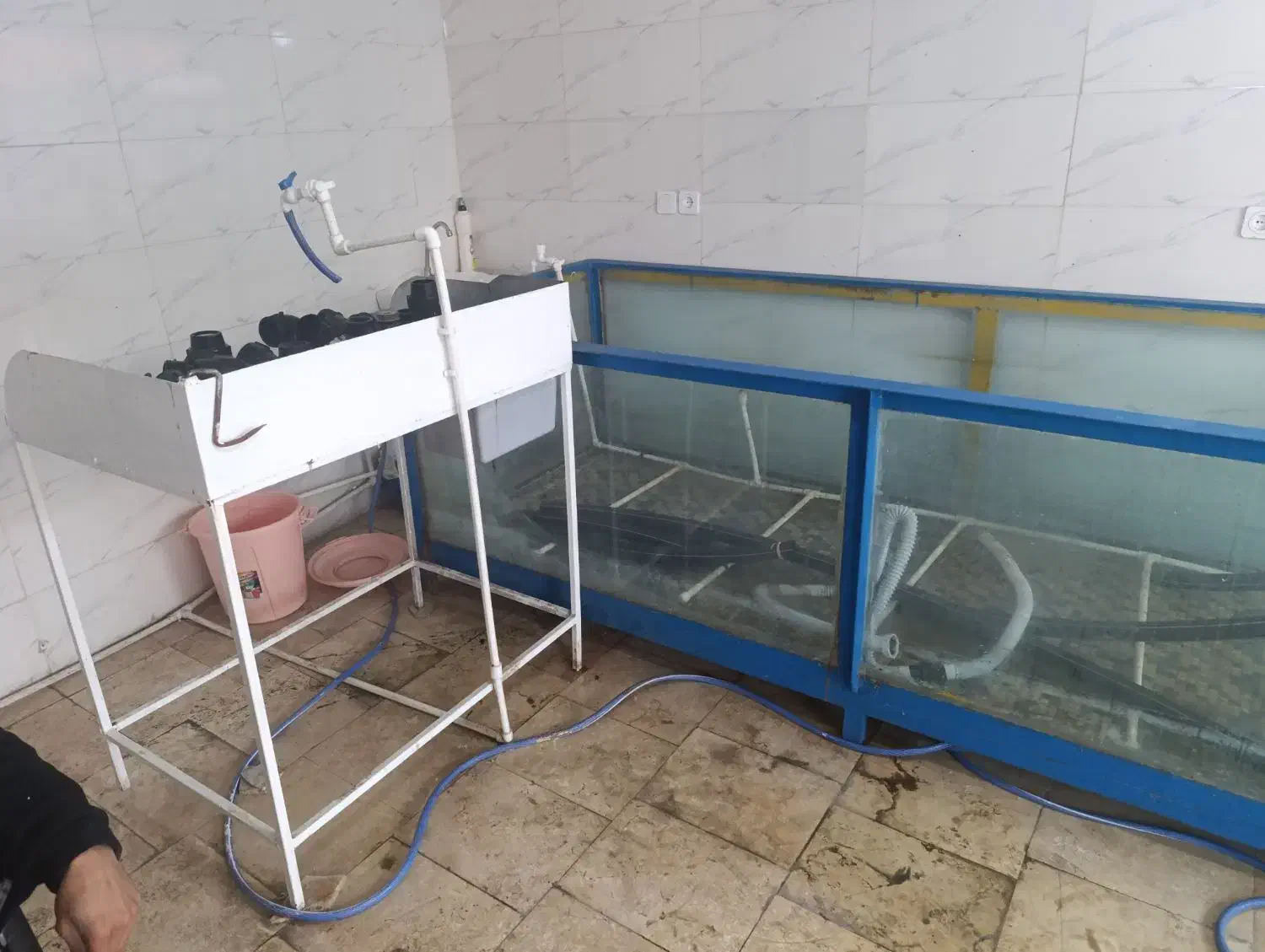 دو عدد اکواریوم جهت ماهی فروشی با میر کار|ماهی|آمل, |دیوار