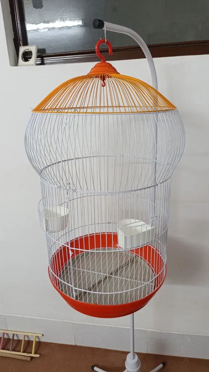 قفس و آویز برای طوطی|لوازم جانبی حیوانات|شاهرود, |دیوار