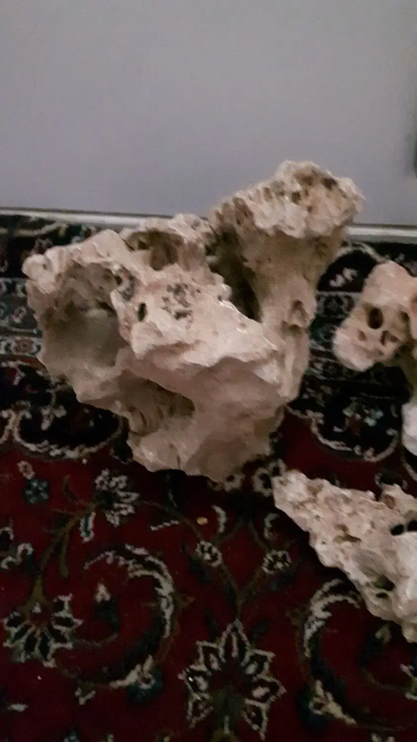 صخره اکواریوم|ماهی|چهاردانگه (تهران), |دیوار