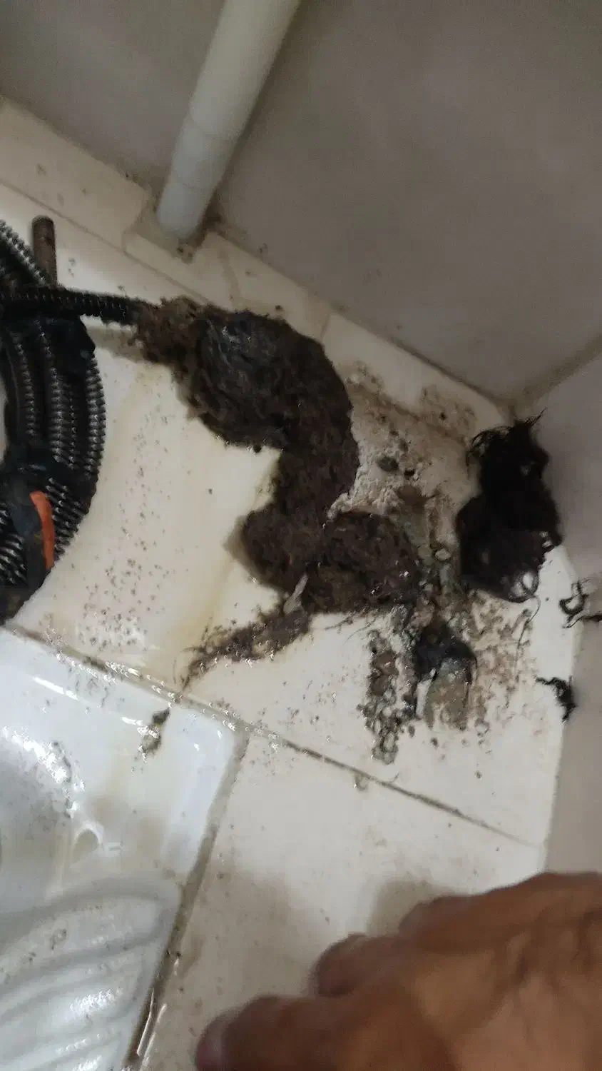 لوله باز کنی وچاه باز کن طبرسی پنجتن شبانه روزی|خدمات پیشه و مهارت|مشهد, طبرسی شمالی|دیوار