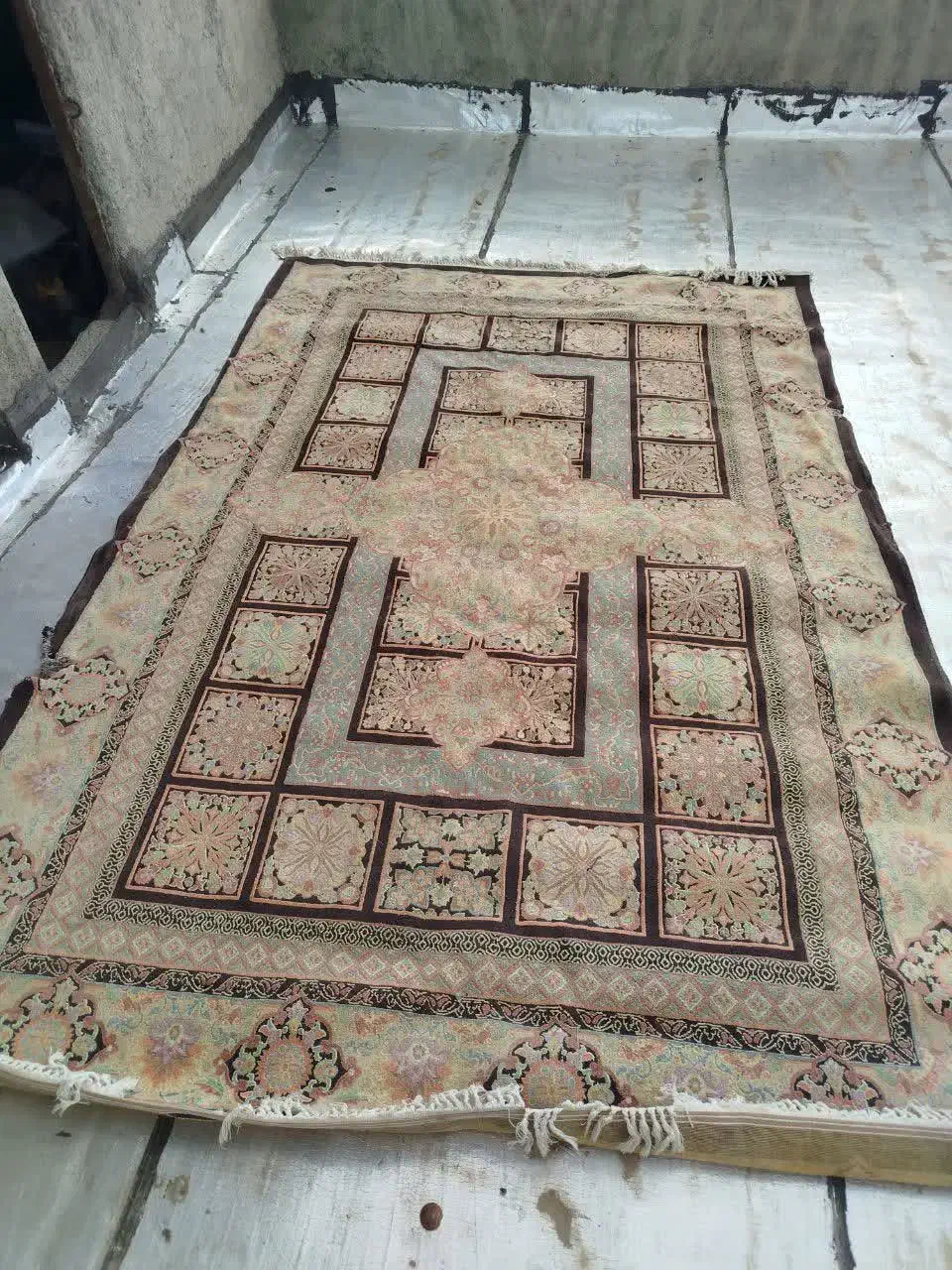 فرش شیش متری|فرش|بروجرد, |دیوار