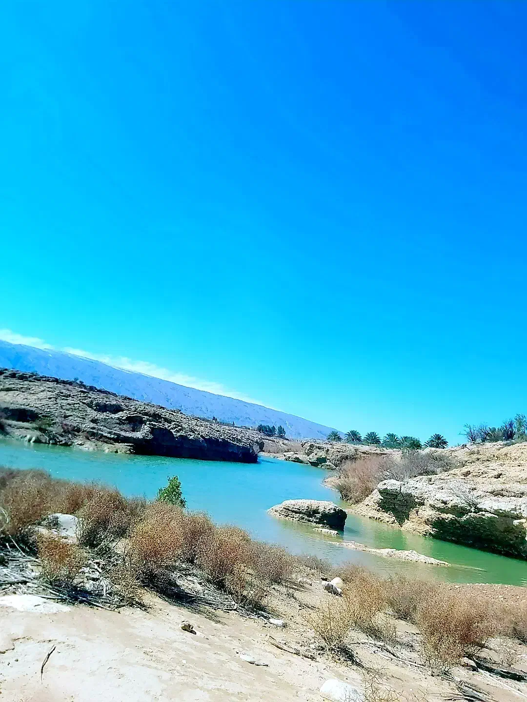 فروش ۱۲ هکتار زمین کشاورزی|فروش دفتر صنعتی، کشاورزی، تجاری|راهگان, |دیوار