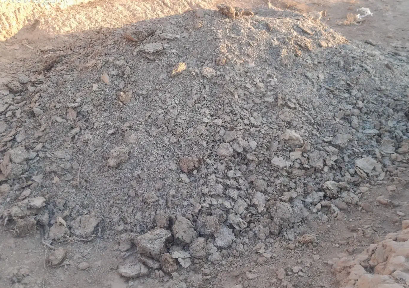 جوجه بلدرچین|حیوانات مزرعه|گزیک, |دیوار