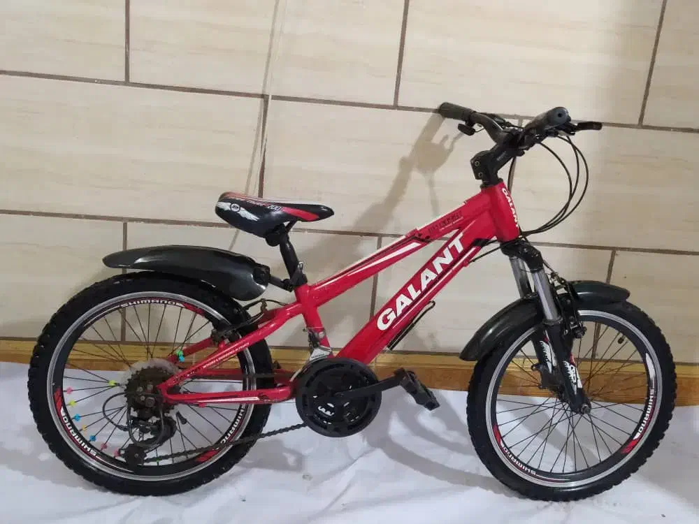 دوچرخه کمکدار تمیز تمیز دنده ای|دوچرخه، اسکیت، اسکوتر|آبادان, |دیوار