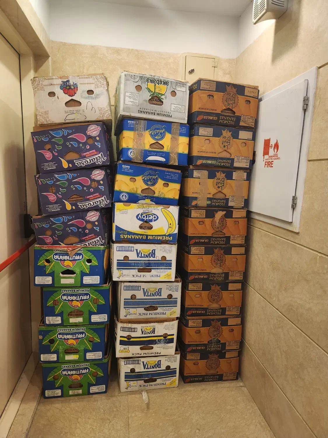 جعبه موزی|ابزارآلات|تهران, امیرآباد|دیوار