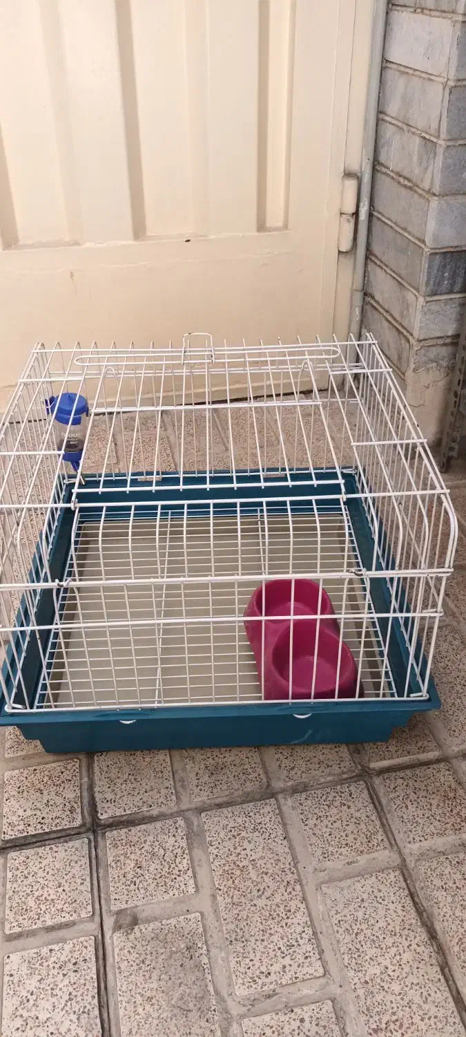 قفس خرگوش و خوکچه هندی|لوازم جانبی حیوانات|تهران, تختی|دیوار