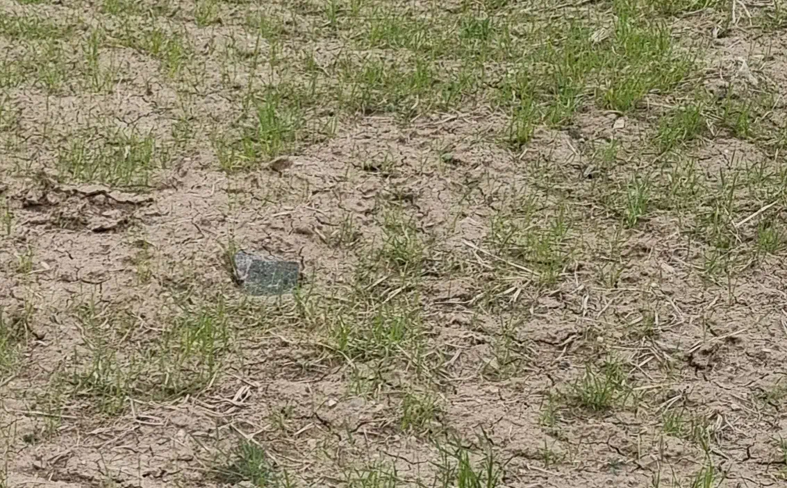 فروش زمین دردیوزند|فروش زمین و ملک کلنگی|قروه, |دیوار