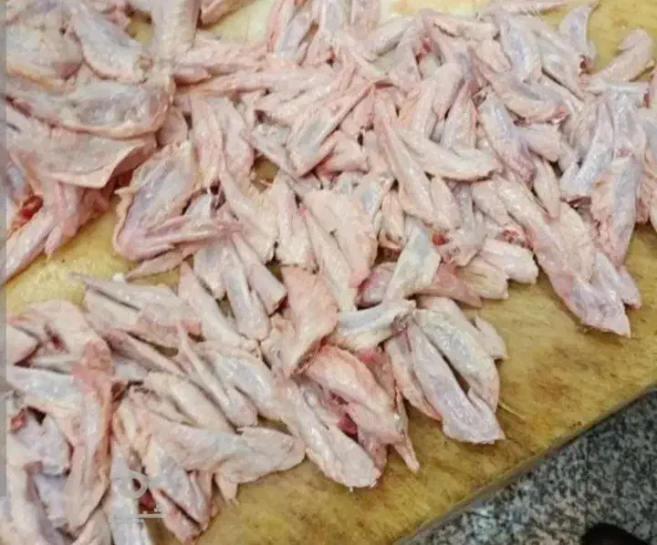 غذای سگ|لوازم جانبی حیوانات|قم, آزادگان|دیوار