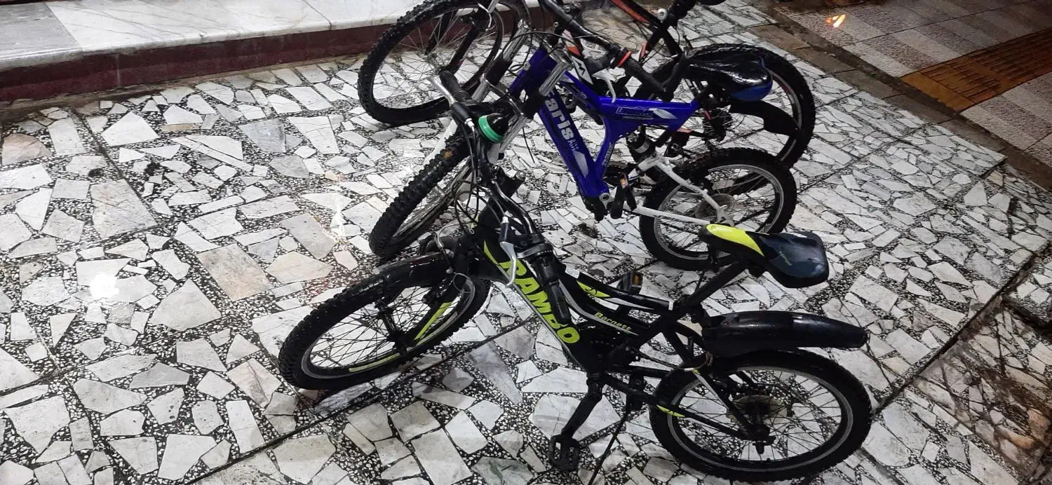 دوچرخه|دوچرخه، اسکیت، اسکوتر|گنبد کاووس, |دیوار