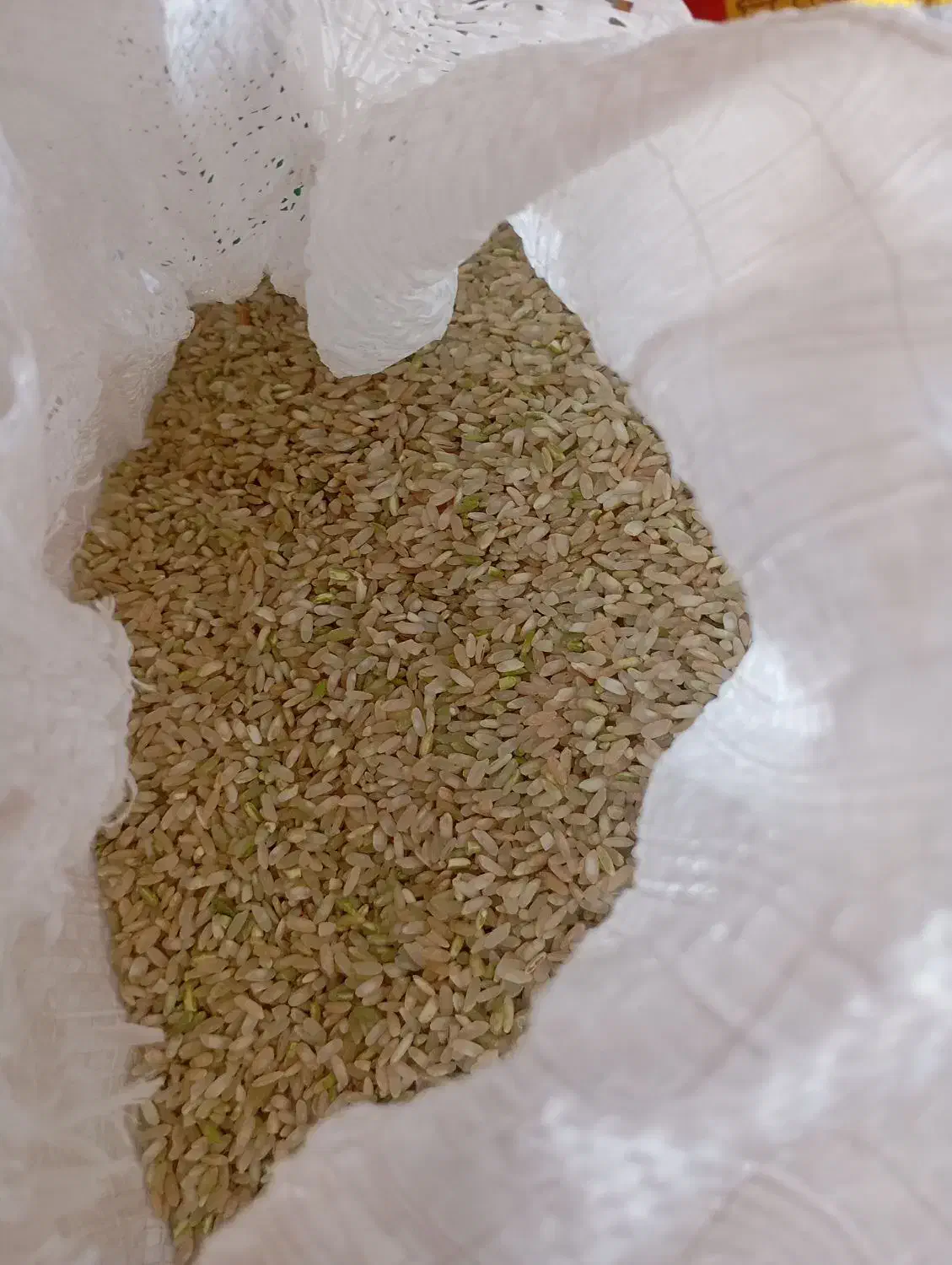 برنج چمپا محلی کیلویی 240|خوردنی و آشامیدنی|چیتاب, |دیوار